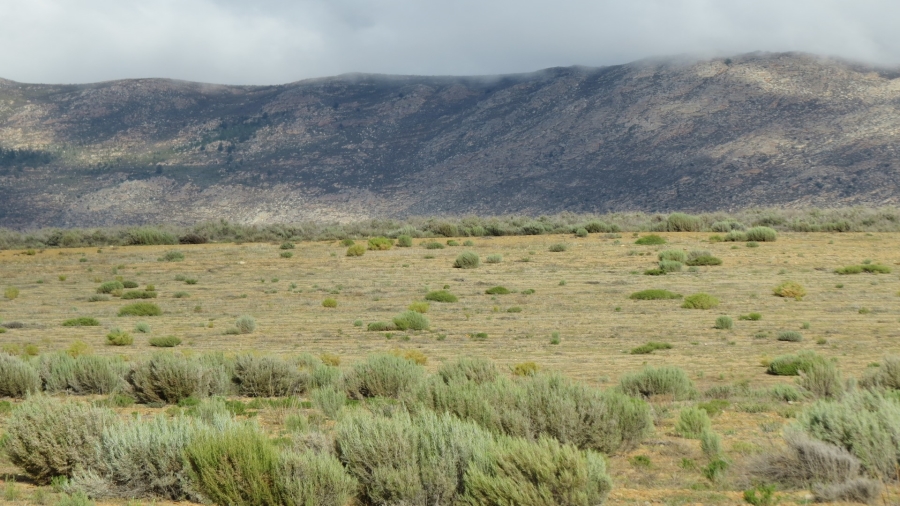 Commercial Property for Sale in Montagu Rural Western Cape